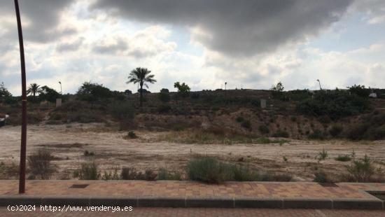 PARCELA URBANA EN LA QUINTA - MURCIA