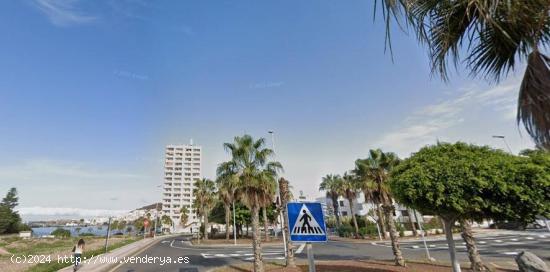 Los Cristianos. Estudio a 50 metros del mar en complejo de calidad - SANTA CRUZ DE TENERIFE