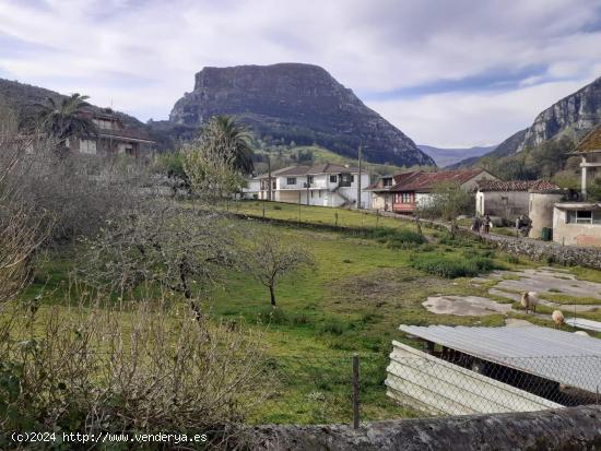 VENTA DE PARCELAS URBANAS EN RAMALES - CANTABRIA