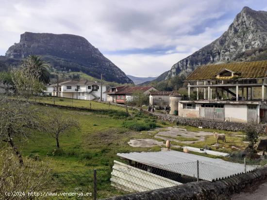 VENTA DE PARCELAS URBANAS EN RAMALES - CANTABRIA