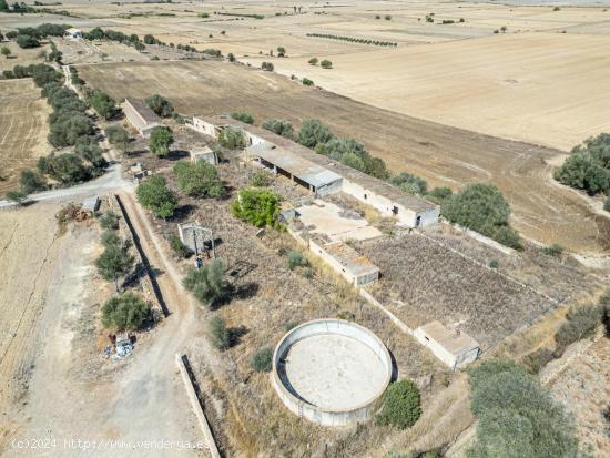  Terreno de 22,324 m² con posibilidad de construir una vivienda - BALEARES 