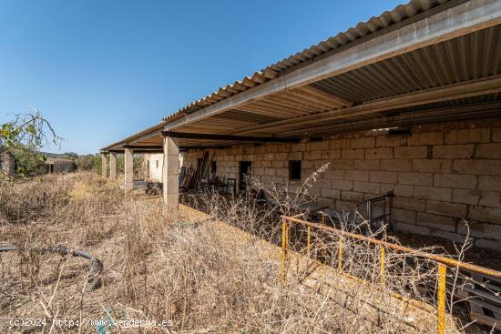 Terreno de 22,324 m² con posibilidad de construir una vivienda - BALEARES