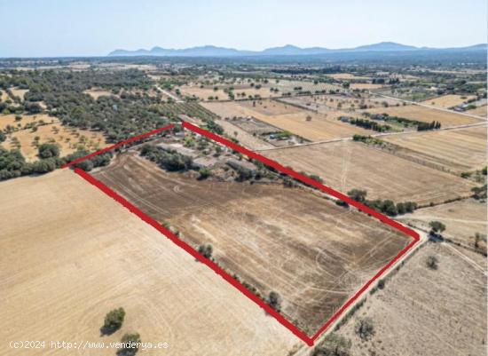 Terreno de 22,324 m² con posibilidad de construir una vivienda - BALEARES