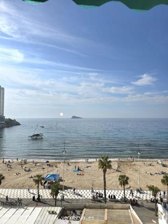  APARTAMENTO EN AVENIDA DE MADRID, PLAYA DE LEVANTE , BENIDORM. - ALICANTE 