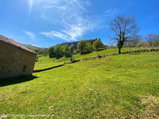 CASA DE PIEDRA CON JARDIN EN SELORES (VALLE DE CABUÉRNIGA) - CANTABRIA