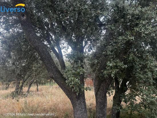 CONSTRUYE LA CASA DE TUS SUEÑOS ¡CON ESTA PARCELA DE ENSUEÑO! - BURGOS