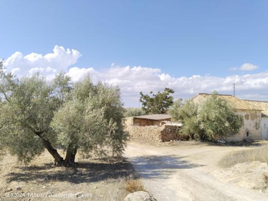  ¡SE VENDE FINCA RÚSTICA EN ANTEQUERA! - MALAGA 