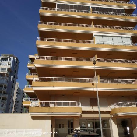 TAVREG - 12 APARTAMENTOS DISPONIBLES EN EL EDIFICIO REGATA III DE TAVERNES - VALENCIA