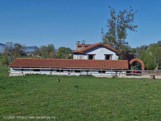 PRECIOSA CASA CON TERRENO Y POSIBILIDAD DE NEGOCIO - BURGOS