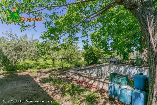   ¡Vive la vida en el campo! Terreno con casa de aperos y cultivos de olivos y frutales en ve - GRAN 