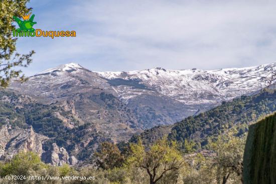 CASA DE PUEBLO EN NIGUELAS - GRANADA