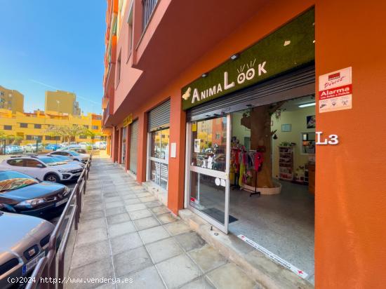 TRASPASO Y ALQUILER DE TIENDA Y PELUQUERIA CANINA EN OFRA. - SANTA CRUZ DE TENERIFE