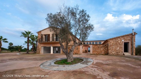 Finca en venta en Binissalem (Baleares)