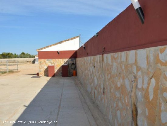 Parcela en venta en San Miguel de Salinas (Alicante)