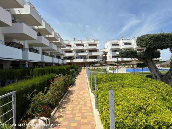  Apartamento en alquiler en Orihuela (Alicante) 