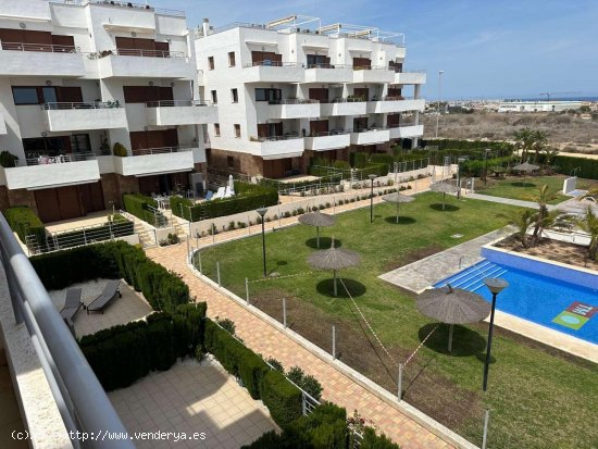 Apartamento en alquiler en Orihuela (Alicante)