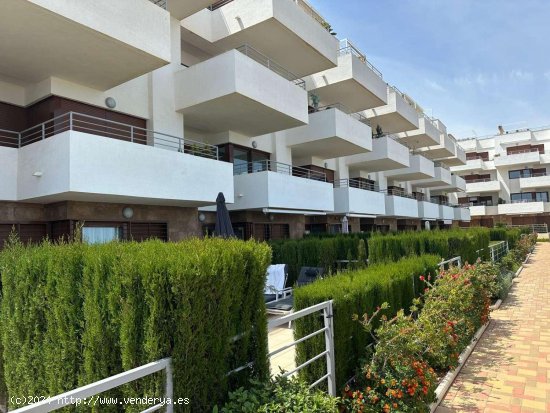 Apartamento en alquiler en Orihuela (Alicante)