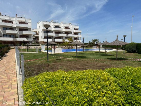 Apartamento en alquiler en Orihuela (Alicante)