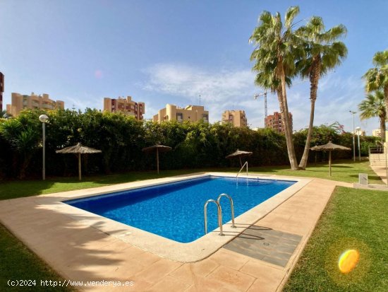 Apartamento en venta en La Manga del Mar Menor (Murcia)