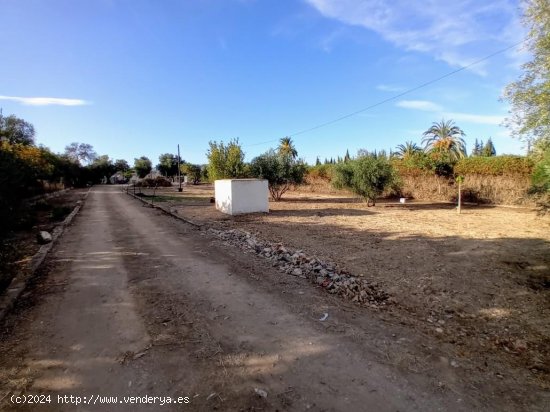 Finca en venta en Alhaurín de la Torre (Málaga)