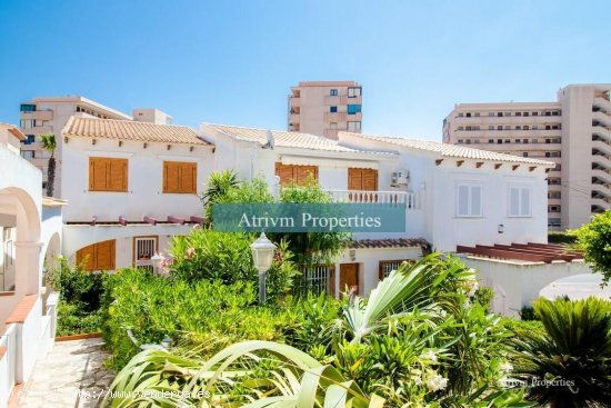  Chalet en alquiler en Torrevieja (Alicante) 