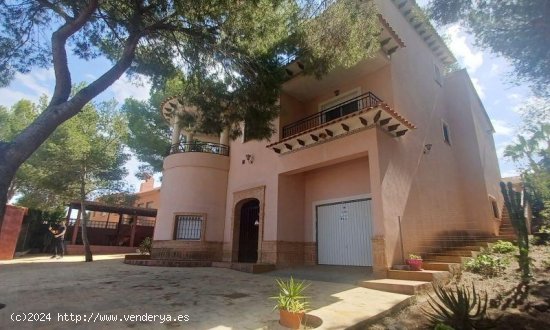  Villa en venta en San Miguel de Salinas (Alicante) 