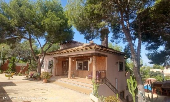 Villa en venta en San Miguel de Salinas (Alicante)