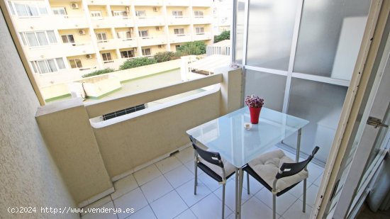  Apartamento en venta en Marbella (Málaga) 