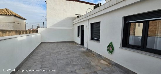 Apartamento en alquiler en Granada (Granada)