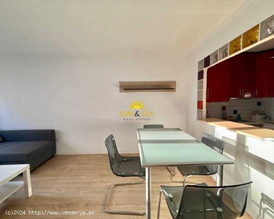 Apartamento en alquiler en Torrevieja (Alicante)