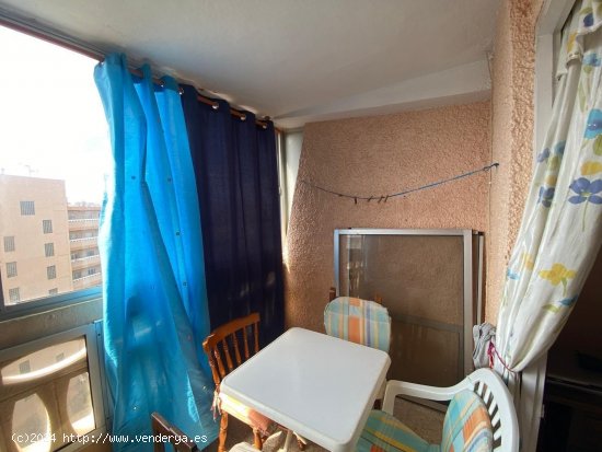 Apartamento en venta en Torrevieja (Alicante)