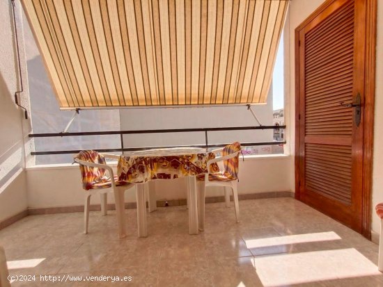  Apartamento en venta en Torrevieja (Alicante) 