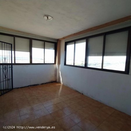 Apartamento en venta en Torrevieja (Alicante)