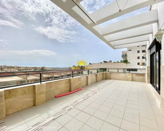 Apartamento en alquiler en Orihuela (Alicante)