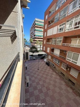 Apartamento en venta en Torrevieja (Alicante)