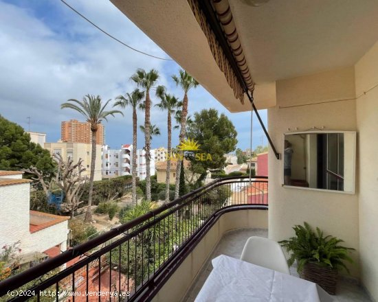  Apartamento en alquiler en San Javier (Murcia) 