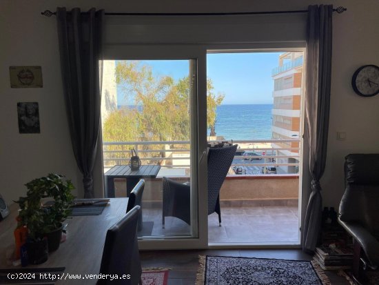  Apartamento en venta en Torrevieja (Alicante) 