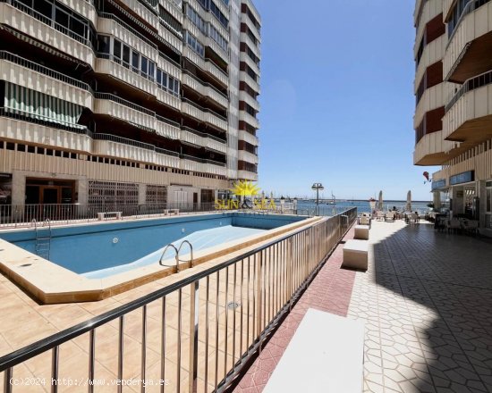 Apartamento en alquiler en Torrevieja (Alicante)