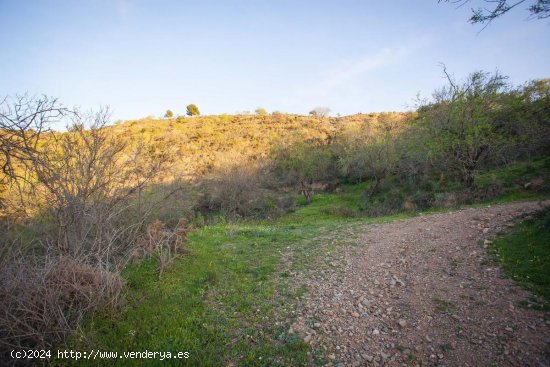 Parcela en venta en Moclinejo (Málaga)