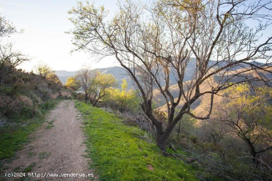 Parcela en venta en Moclinejo (Málaga)