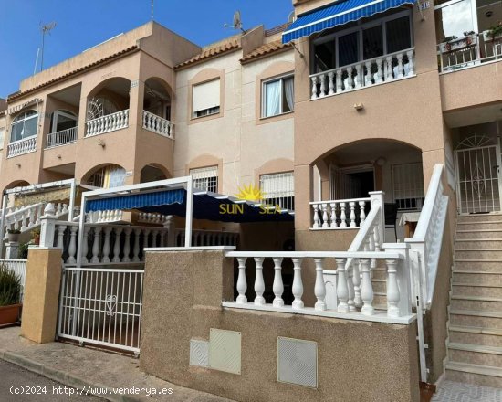 Apartamento en alquiler en Torrevieja (Alicante)