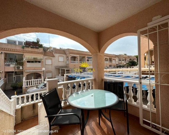 Apartamento en alquiler en Torrevieja (Alicante)