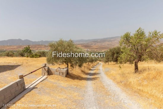 Finca en venta en Nigüelas (Granada)