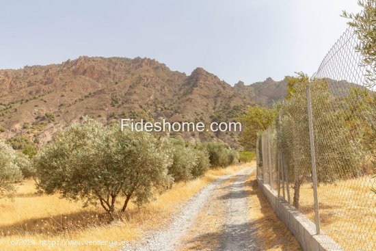 Finca en venta en Nigüelas (Granada)