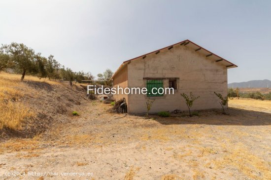 Finca en venta en Nigüelas (Granada)