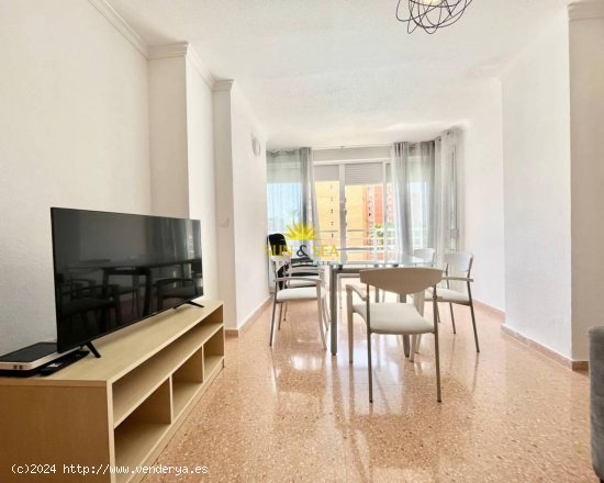 Apartamento en alquiler en Alicante (Alicante)