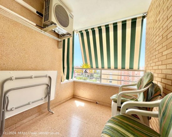 Apartamento en alquiler en Alicante (Alicante)