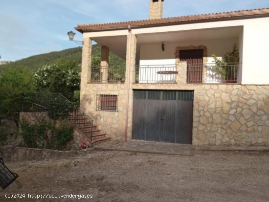 SE VENDE GRAN PARCELA CON OLIVOS, PISCINA Y CHALET