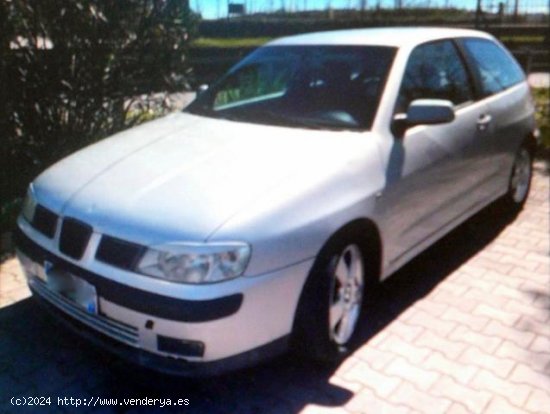 SEAT Ibiza en venta en Torres de Cotillas (Murcia) - Torres de Cotillas