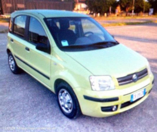 FIAT Panda en venta en Torres de Cotillas (Murcia) - Torres de Cotillas